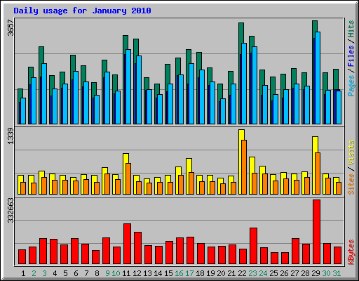 Daily usage for January 2010