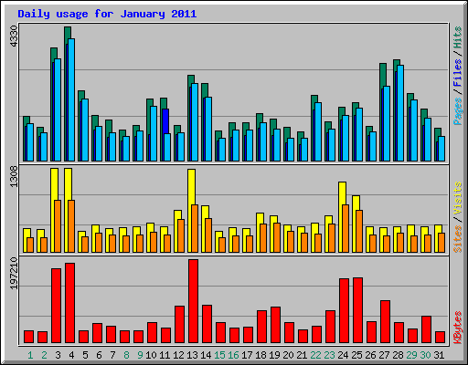 Daily usage for January 2011