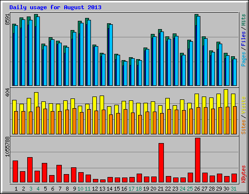 Daily usage for August 2013