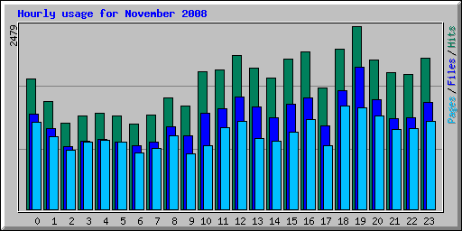 Hourly usage for November 2008