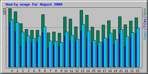 Hourly usage for August 2009