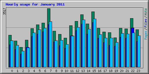 Hourly usage for January 2011