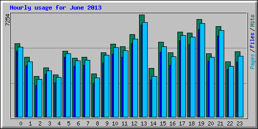 Hourly usage for June 2013