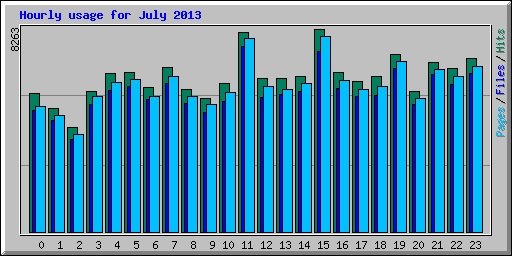 Hourly usage for July 2013