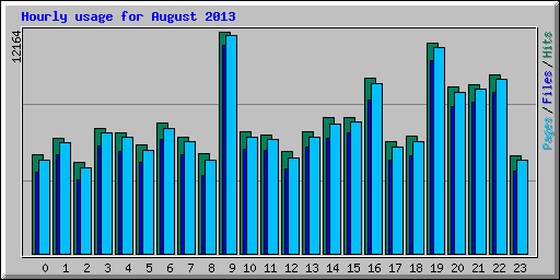 Hourly usage for August 2013