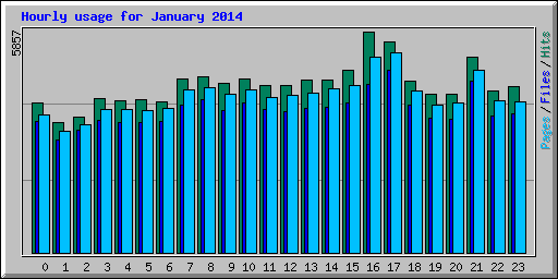 Hourly usage for January 2014