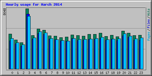 Hourly usage for March 2014