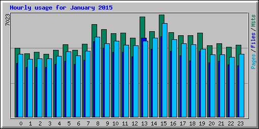 Hourly usage for January 2015