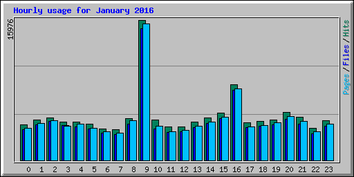 Hourly usage for January 2016