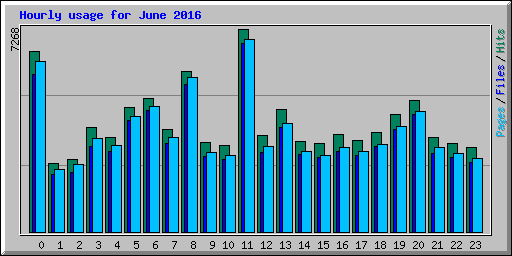 Hourly usage for June 2016