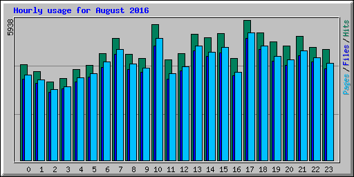 Hourly usage for August 2016